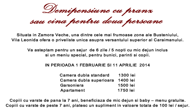 Oferte 14 februarie 2014